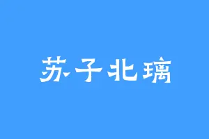 苏子北璃