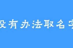 没有办法取名字