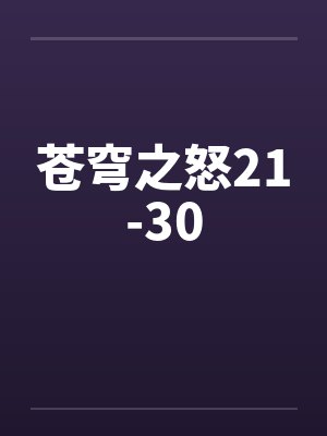 苍穹之怒21-30